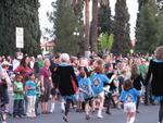 Maguire Academy of Irish Dance