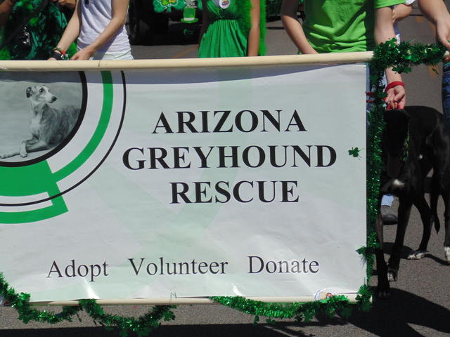 Arizona Greyhound Rescue