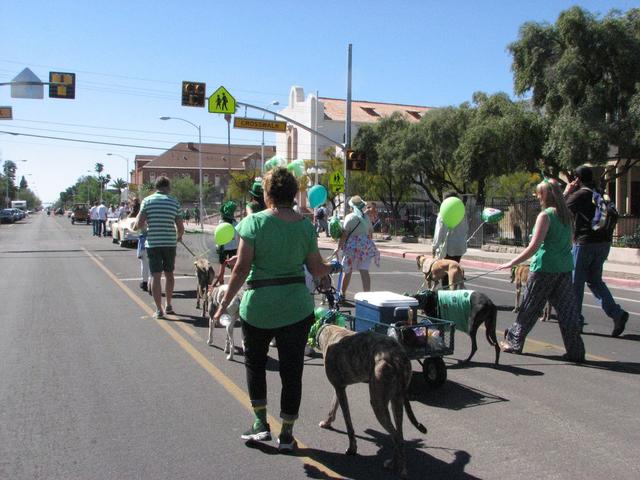 Arizona Greyhound Rescue