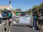 Desert Irish Wolfhound Association