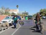 Desert Irish Wolfhound Association